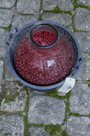 Raspberry Vinegar - Vinegar Shed