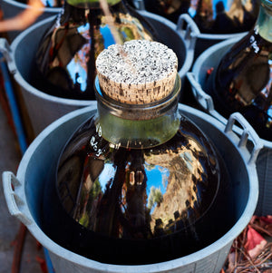 Aged Banyuls Vinegar - Vinegar Shed