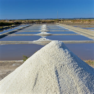 Fleur de Sel - Vinegar Shed