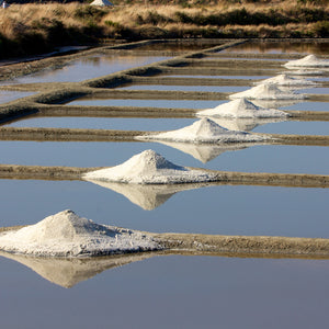 Fleur de Sel Vent D'Est - Vinegar Shed