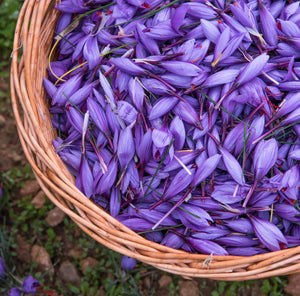 Safrà del Montsec - Organic Saffron 1/2g - Vinegar Shed