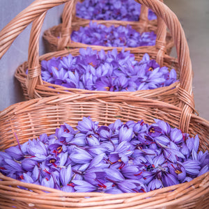 Safrà del Montsec - Organic Saffron 1/2g - Vinegar Shed