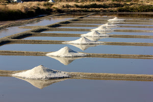 Salt Kit - Vinegar Shed
